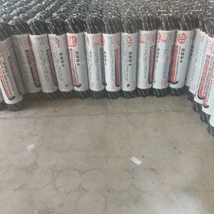 Sbs自粘防水卷材